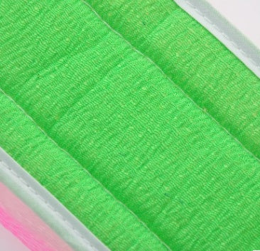 Brush For Back
